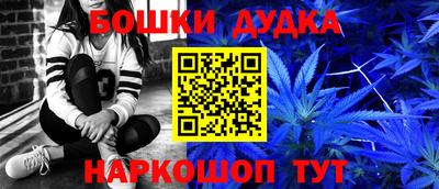 МДПВ Партизанск